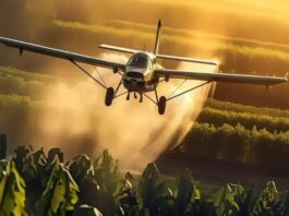 Pulverização aérea: como a aviação agrícola está revolucionando a agricultura moderna